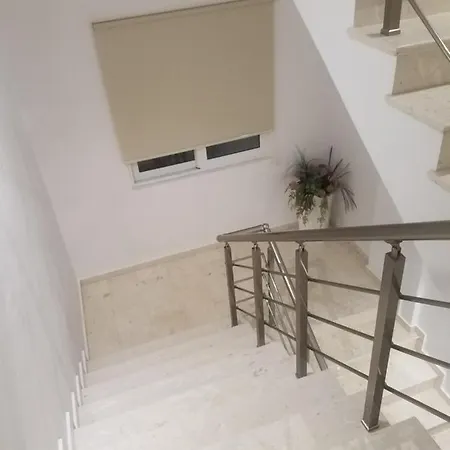Dani's *